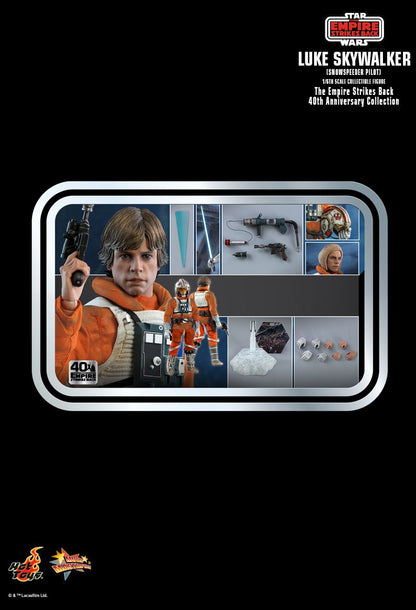 Hot Toys - MMS585 - Star Wars: Episode V - The Empire Strikes Back - Luke Skywalker (Snowspeeder Pilot)